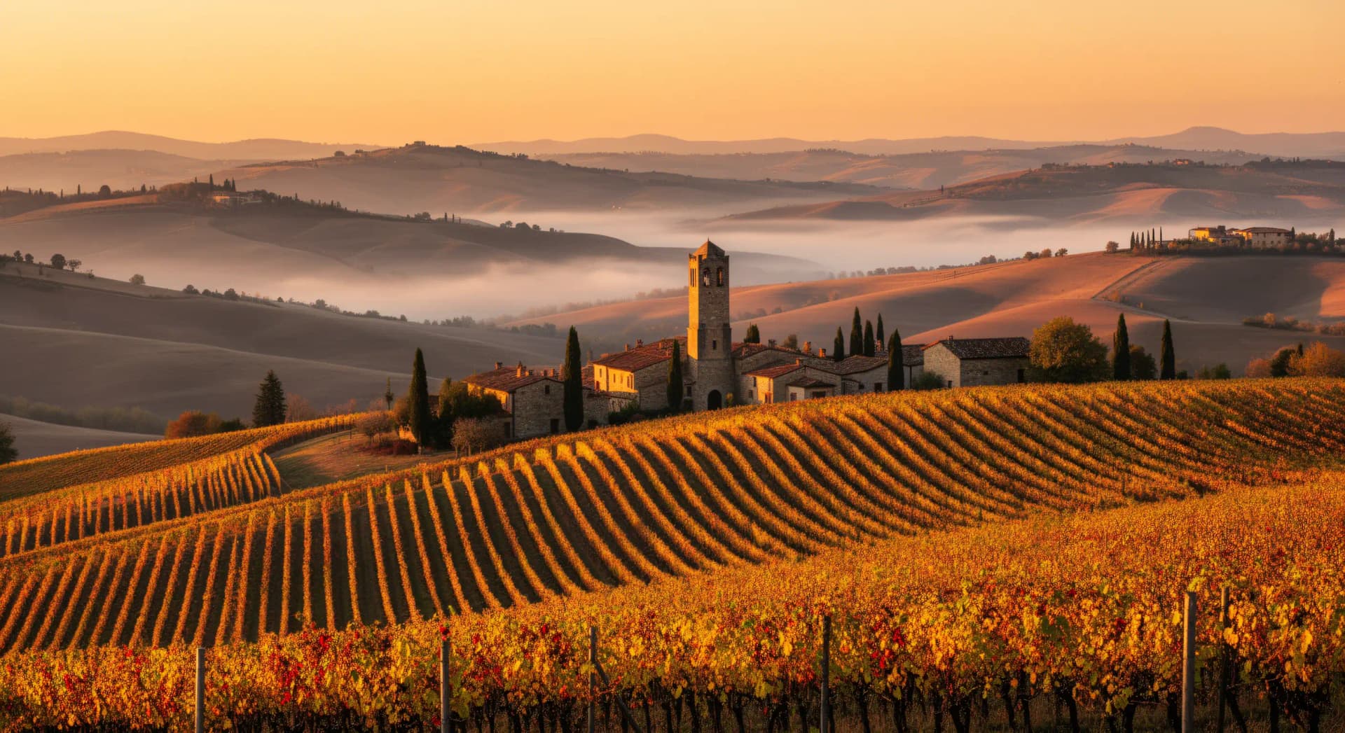 Barolo et Barbaresco : le Piémont en deux crus